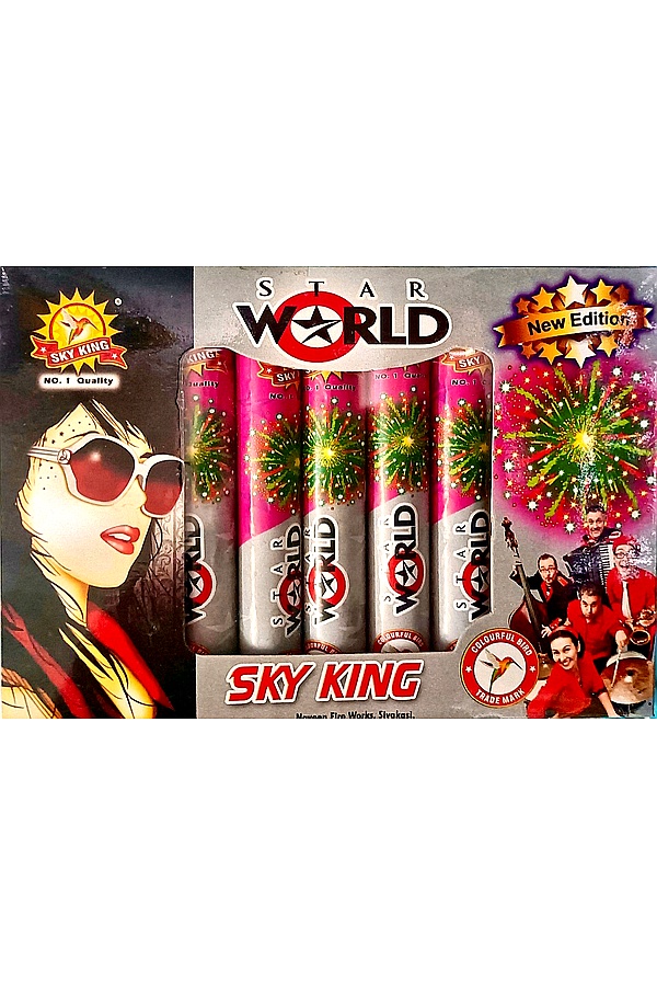 STAR WORLD/GOLD COIN/WHITE HOUSE/SUNRISE (VERITY SHOT)(5PCS)