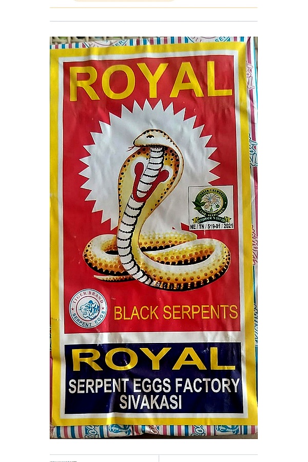 SNAKE TABLET BIG