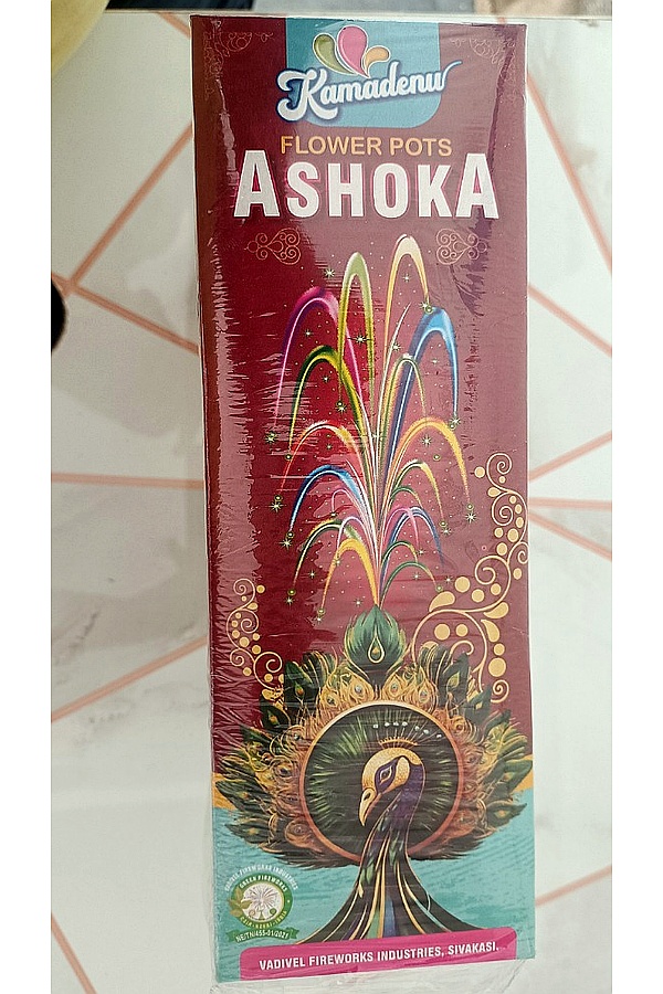 FLOWER POT ASOKA