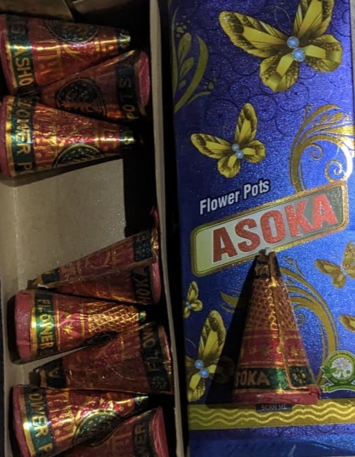 FLOWER POT ASOKA